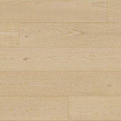 Fuzion Canvas - Lyric